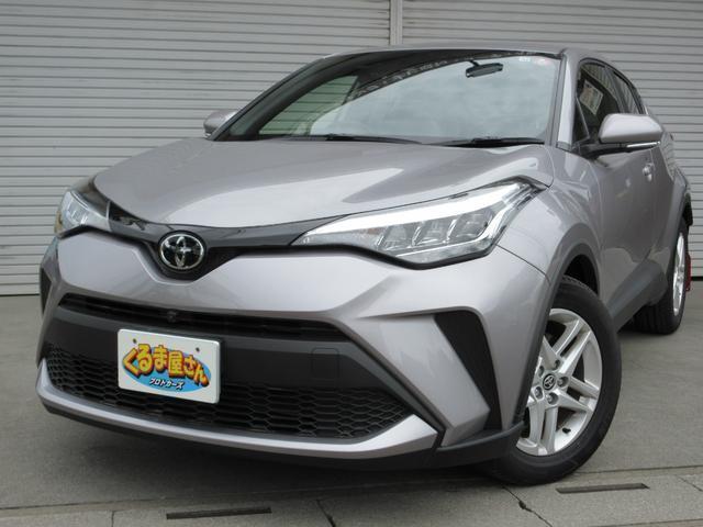 Autoxglobal