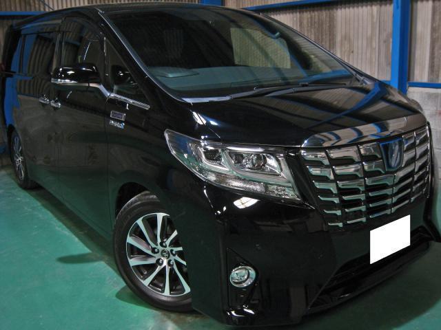 Autoxglobal
