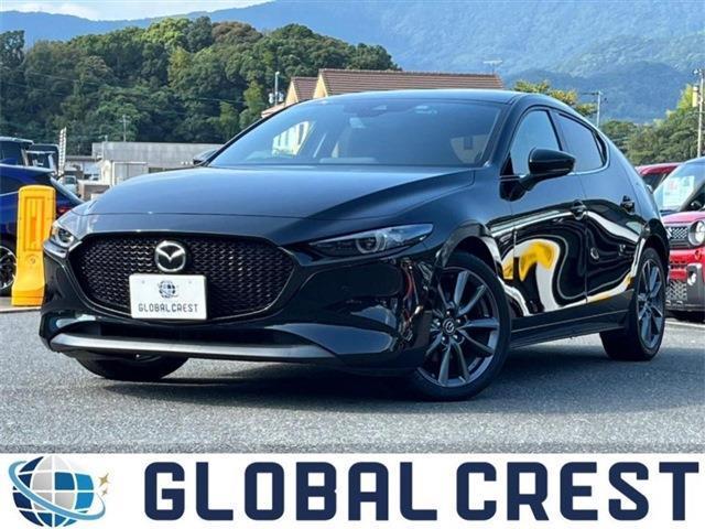 Autoxglobal