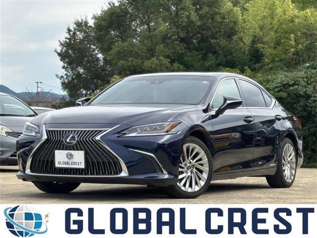 Autoxglobal