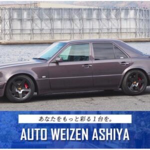 1995 Mercedes Benz Mercedes Benz Other gray gasoline used car Japan export