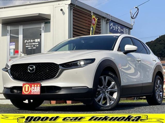 Autoxglobal