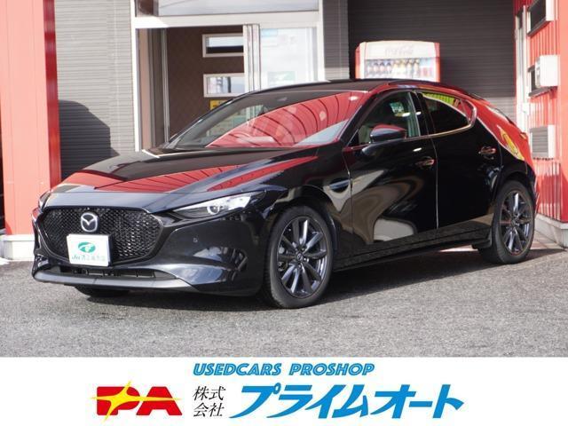 Autoxglobal
