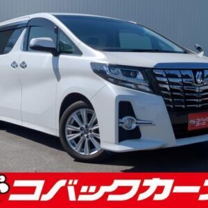 2015 Toyota Alphard pearl gasoline used car Japan export