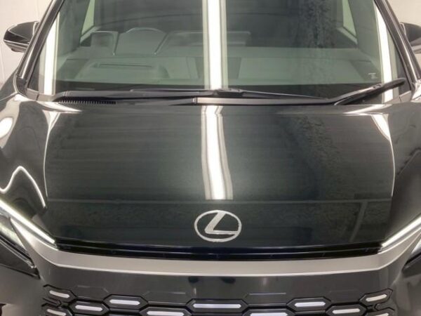 Ref:AUX-18218357 LEXUS LM 2024 - Image 17