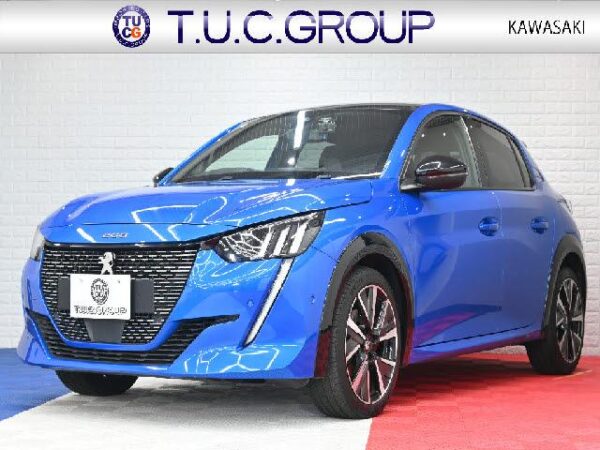 Ref:AUX-18233087 PEUGEOT PEUGEOT OTHER 2021