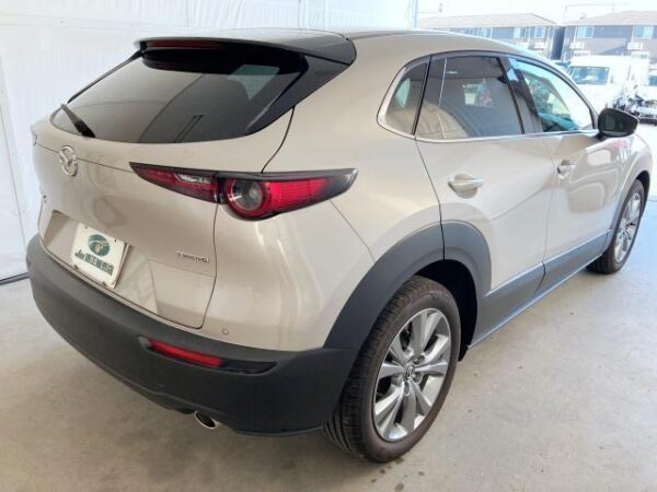 Ref:AUX-18510737 MAZDA CX-30 2024 - Image 11