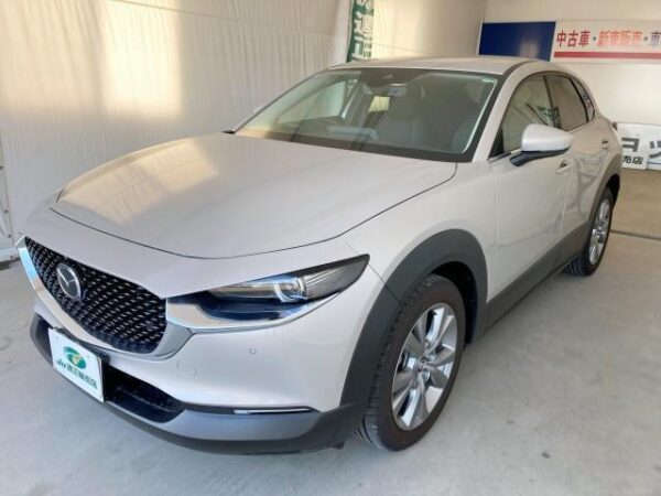 Ref:AUX-18510737 MAZDA CX-30 2024 - Image 10