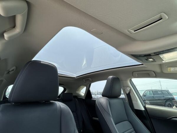 Ref:AUX-18521942 LEXUS NX 2018 - Image 9