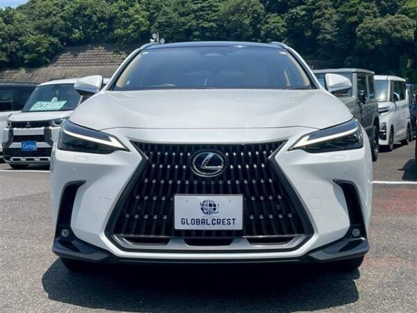 Ref:AUX-18700600 LEXUS NX 2024 - Image 6