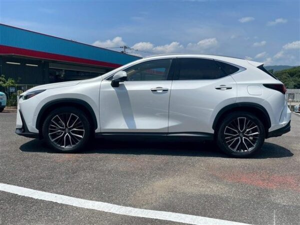Ref:AUX-18700600 LEXUS NX 2024 - Image 8