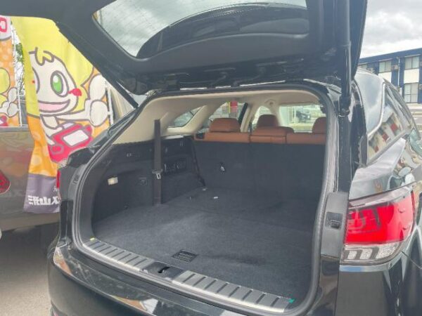 Ref:AUX-18715301 LEXUS RX 2022 - Image 6