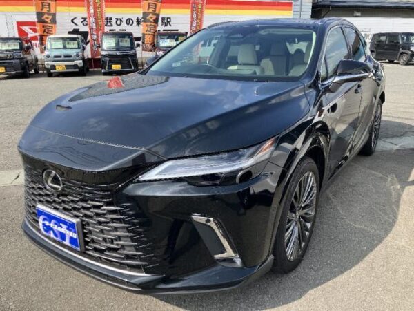 Ref:AUX-18756281 LEXUS RX 2023 - Image 10