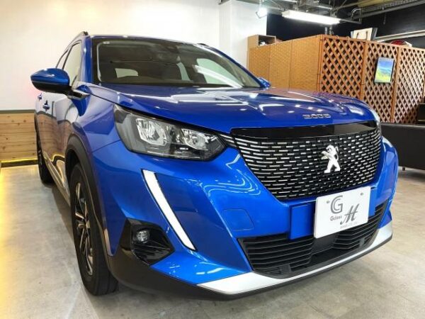 Ref:AUX-18801918 PEUGEOT 2008 2021 - Image 12