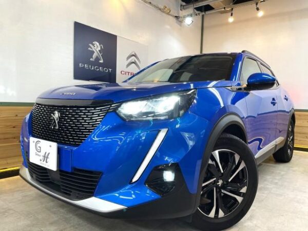 Ref:AUX-18801918 PEUGEOT 2008 2021 - Image 14