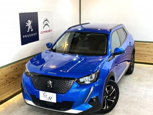 Ref:AUX-18801918 PEUGEOT 2008 2021