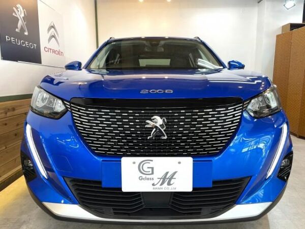 Ref:AUX-18801918 PEUGEOT 2008 2021 - Image 10