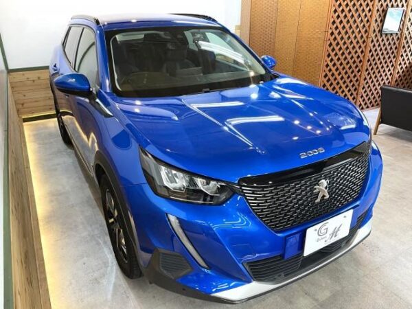 Ref:AUX-18894353 PEUGEOT 2008 2020 - Image 12