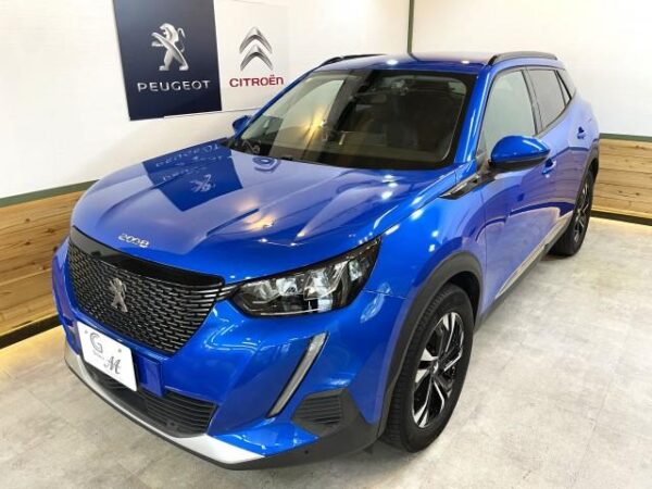 Ref:AUX-18894353 PEUGEOT 2008 2020 - Image 13