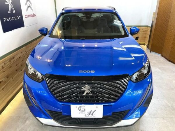Ref:AUX-18894353 PEUGEOT 2008 2020 - Image 10