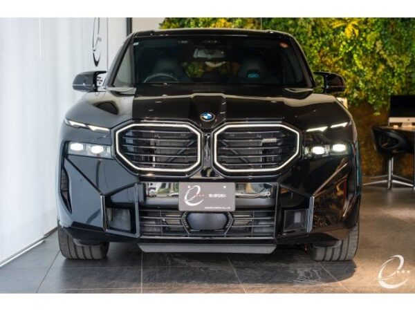 Ref:AUX-18942477 BMW XM 2024 - Image 9