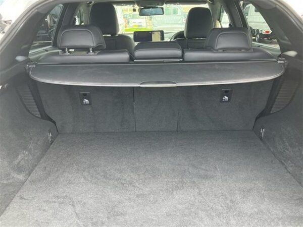 Ref:AUX-19263999 LEXUS RX 2022 - Image 10