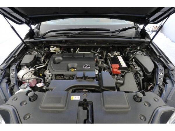 Ref:AUX-19275956 LEXUS NX 2022 - Image 8