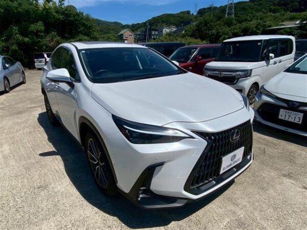 Ref:AUX-19387748 LEXUS NX 2024 - Image 9
