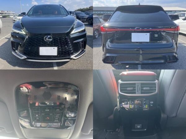 Ref:AUX-19418736 LEXUS RX 2024 - Image 10