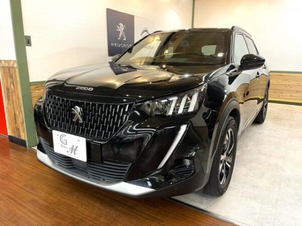 Ref:AUX-19433851 PEUGEOT 2008 2020 - Image 13