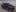 Autoxglobal