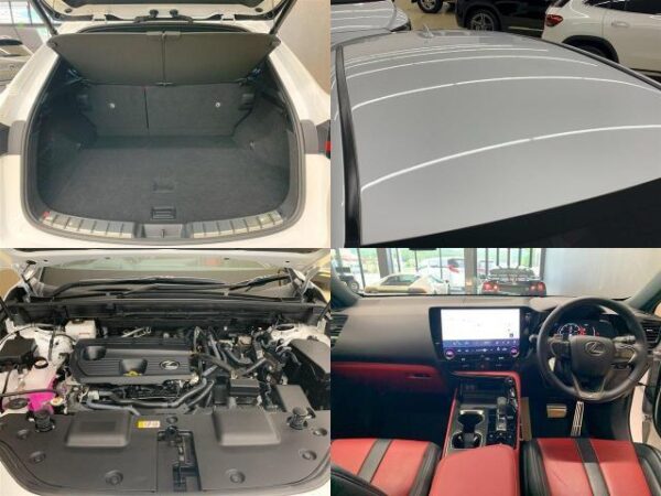 Ref:AUX-19587908 LEXUS NX 2023 - Image 8