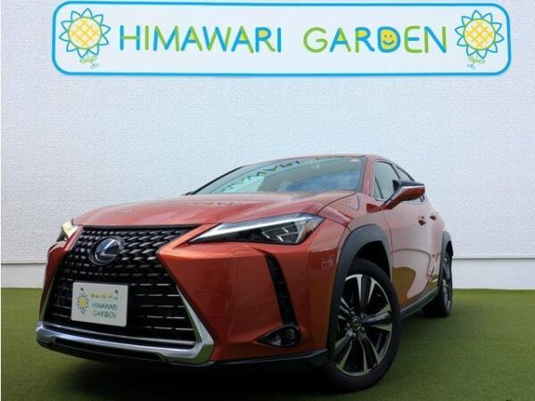 Ref:AUX-19611132 LEXUS UX 2021 - Image 18