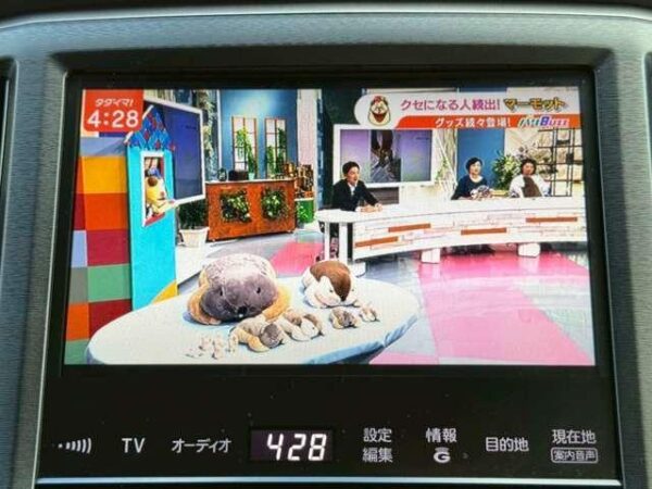 Ref:AUX-19751282 TOYOTA CROWN HYBRID 2015 - Image 16