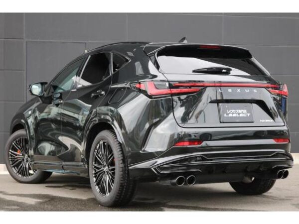 Ref:AUX-19755148 LEXUS NX 2023 - Image 5
