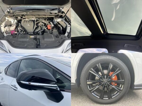 Ref:AUX-19822004 LEXUS NX 2023 - Image 8