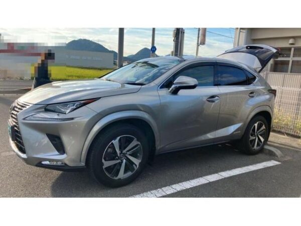 Ref:AUX-19838636 LEXUS NX 2020 - Image 11