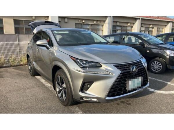 Ref:AUX-19838636 LEXUS NX 2020 - Image 12