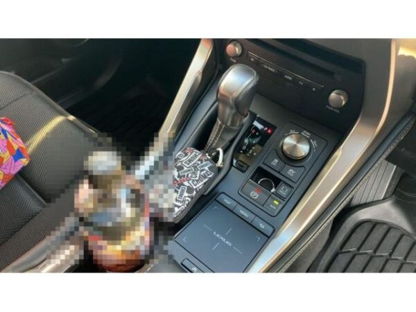 Ref:AUX-19838636 LEXUS NX 2020 - Image 15