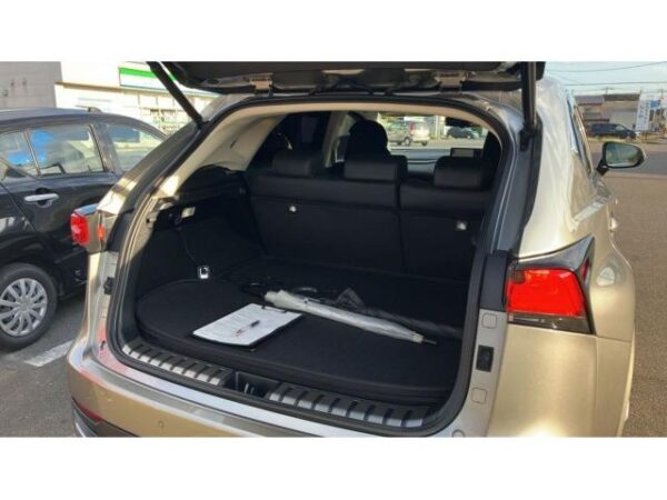 Ref:AUX-19838636 LEXUS NX 2020 - Image 18