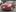 Autoxglobal