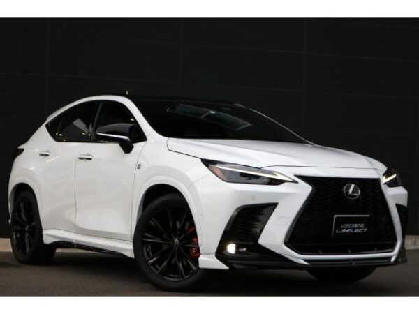 Ref:AUX-20012678 LEXUS NX 2023 - Image 4