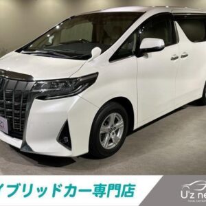 2019 Toyota Alphard pearl gasoline used car Japan export