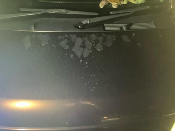 Ref:AUX-20089106 DAIHATSU MIRA COCOA 2015 - Image 13