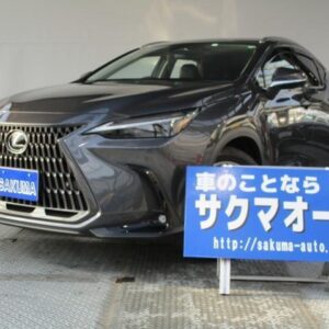 2023 Lexus Nx gunmetal hybrid used car Japan export