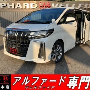 2020 Toyota Alphard pearl gasoline used car Japan export