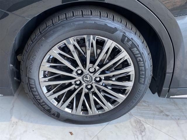 Ref:AUX-21090796 LEXUS LM 2024 - Image 20