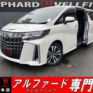 2020 Toyota Alphard pearl gasoline used car Japan export