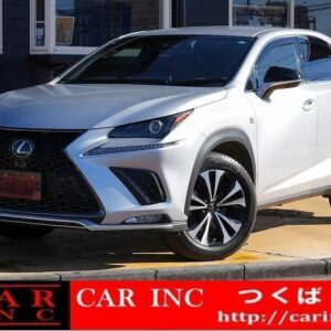 2018 Lexus Nx silver gasoline used car Japan export