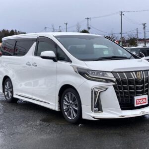 2021 Toyota Alphard pearl gasoline used car Japan export